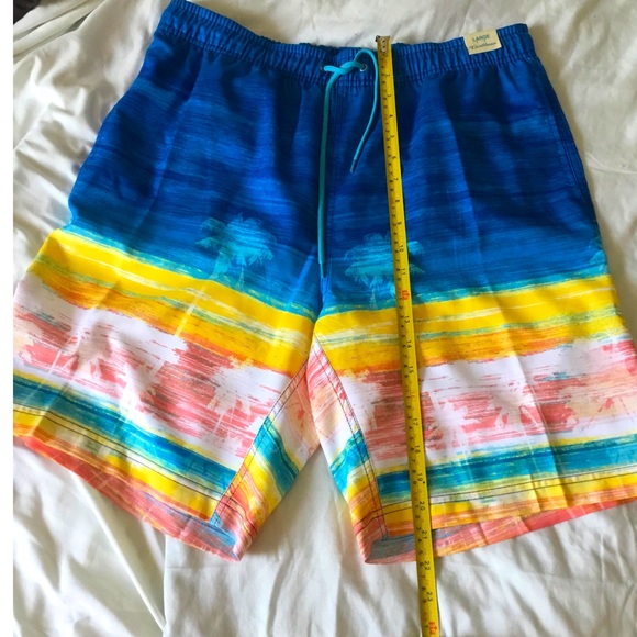 CARIBBEAN SWIM SHORTS - Picture 4 of 10